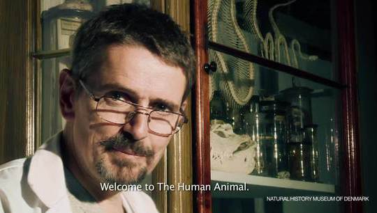 Welcome to The Human Animal