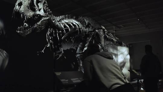 Dinosaurernes konge - et smugkig i udstillingen