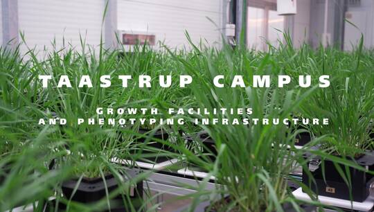 Taastrup Campus: Growth Facilities and Phenotyping Infrastructure