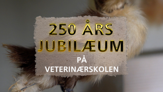 250-års jubilæum for veterinærskolen
