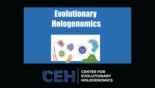 Tom Gilbert: How the Center for Evolutionary Hologenomics came to be, how it's doing and what's next. Episode 6.mp4