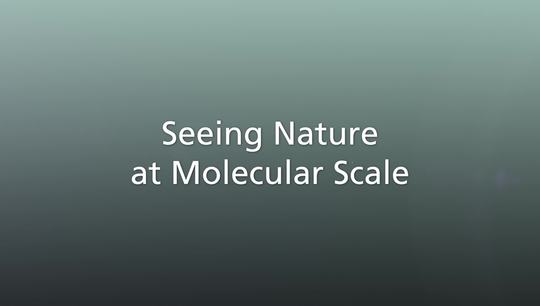 Seeing Nature at Molecular Scale